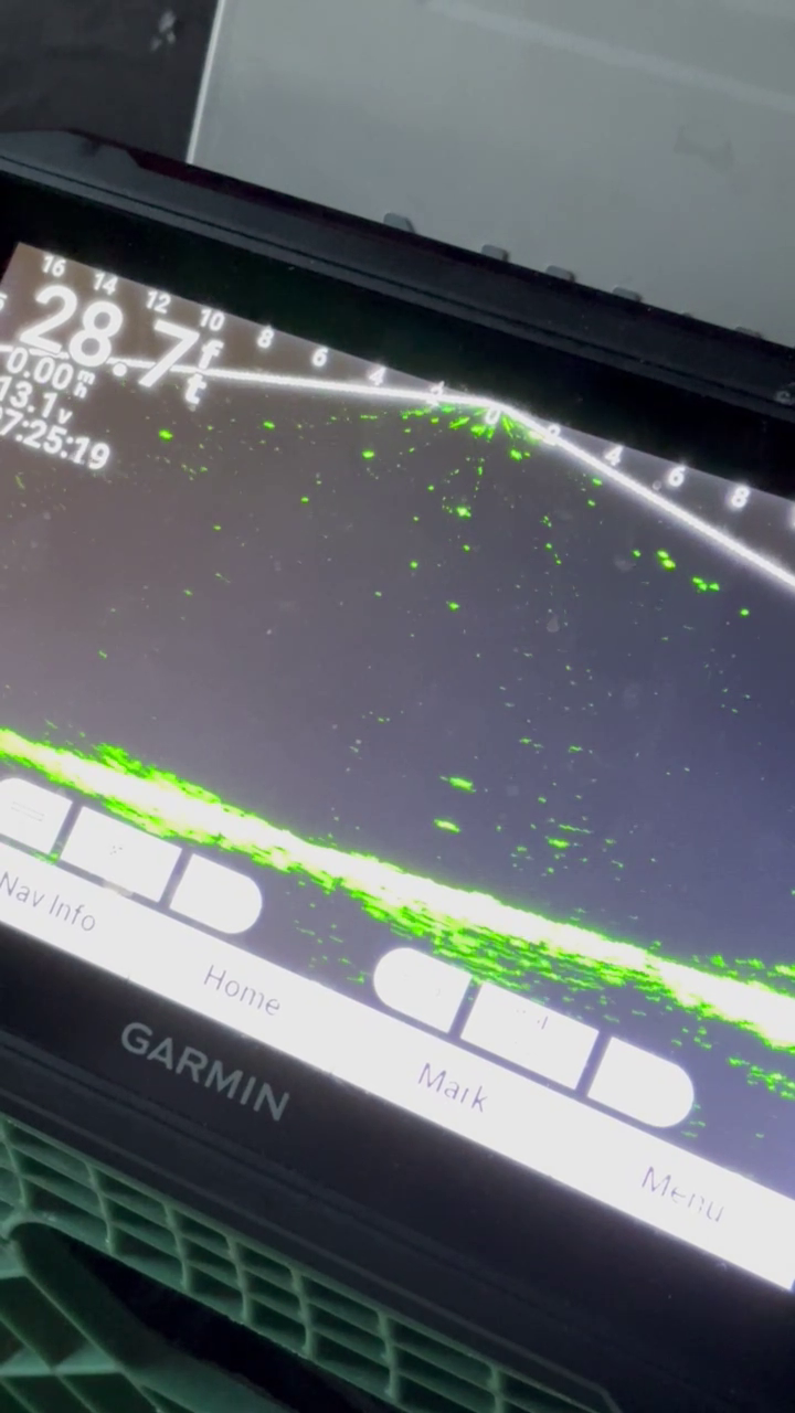 A livescope sonar screen is visible. The screen is made by Garmin.