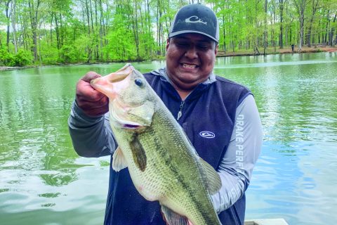 What’s Biting in April in Chesapeake Bay?