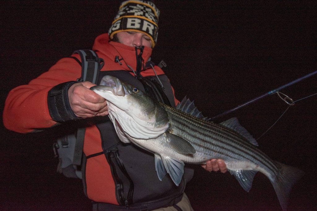 catching coldwater stripers before the spring migration