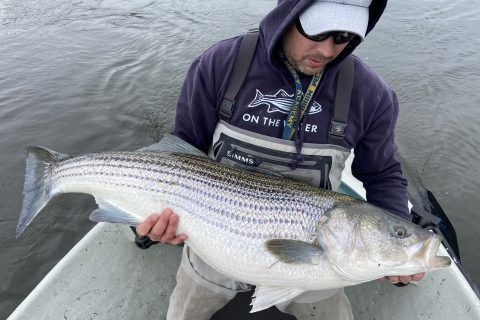 What&rsquo;s Biting in April in New Jersey?