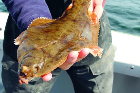 What&rsquo;s Biting in March in New Jersey?