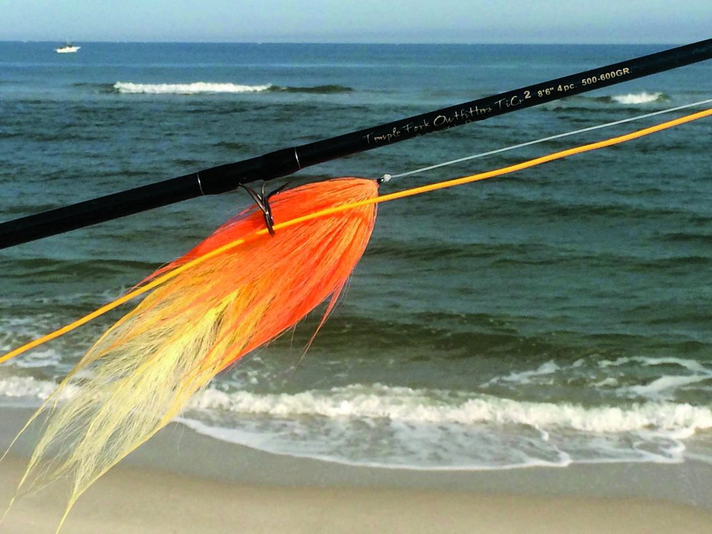 tips for fly fishing the surf