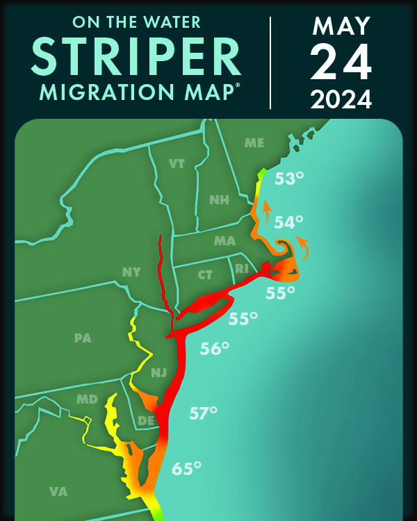 2024 striper migration