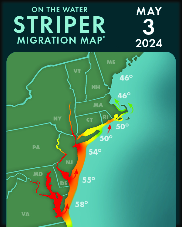 2024 striper migration