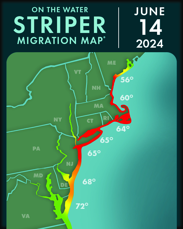 2024 striper migration