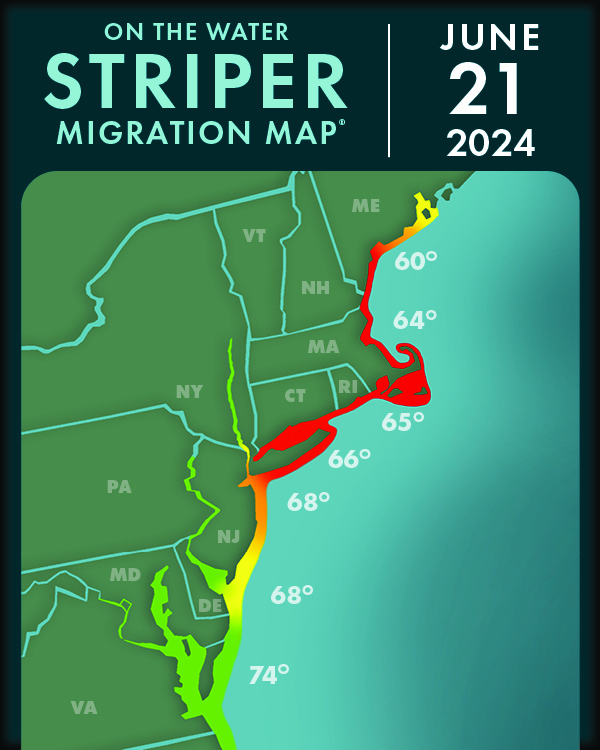 2024 striper migration