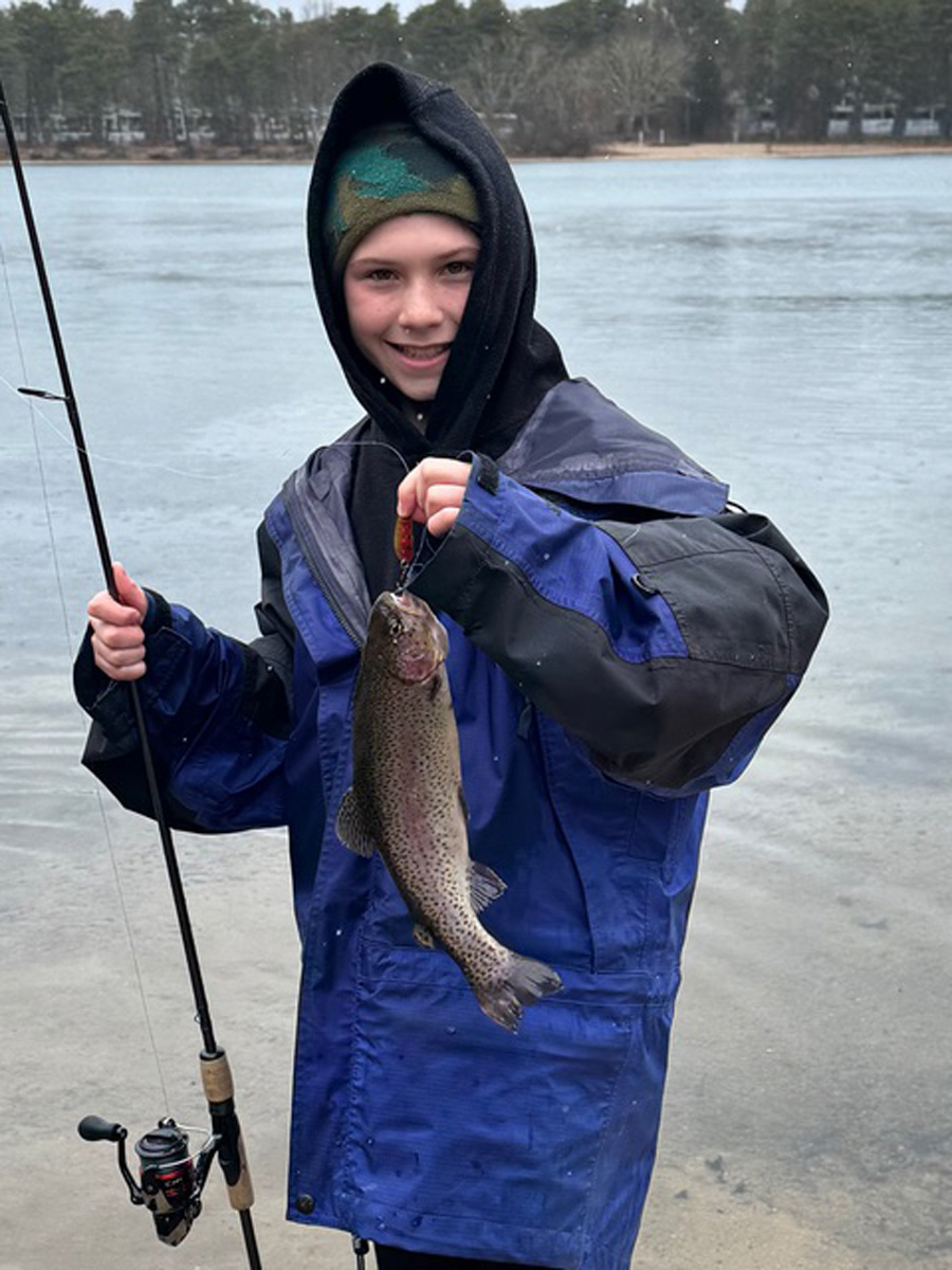rainbow trout