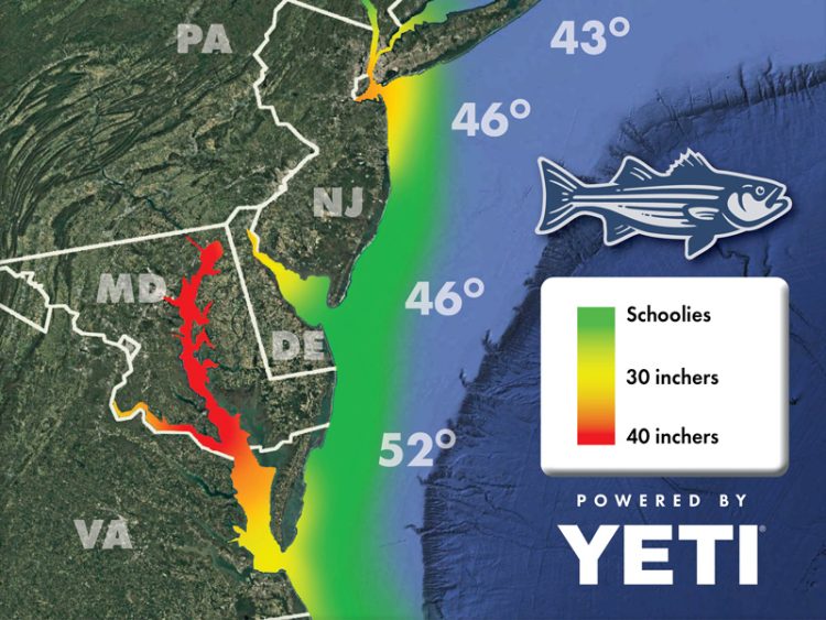 2025-03-28 Striper Migration Map