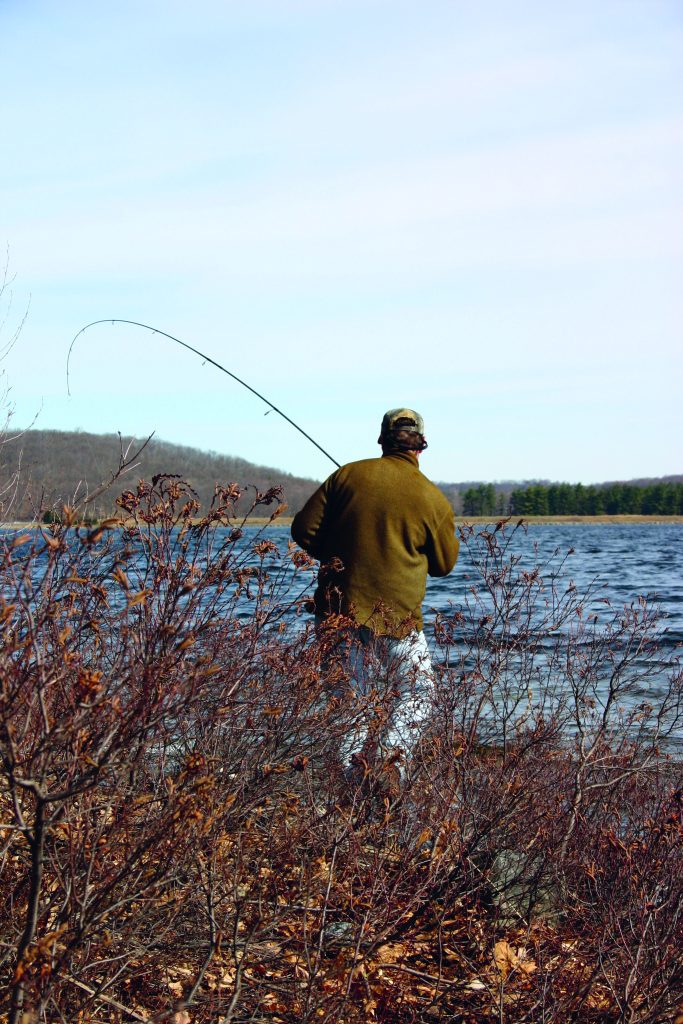 lake trout of Wachusett Reservoir
