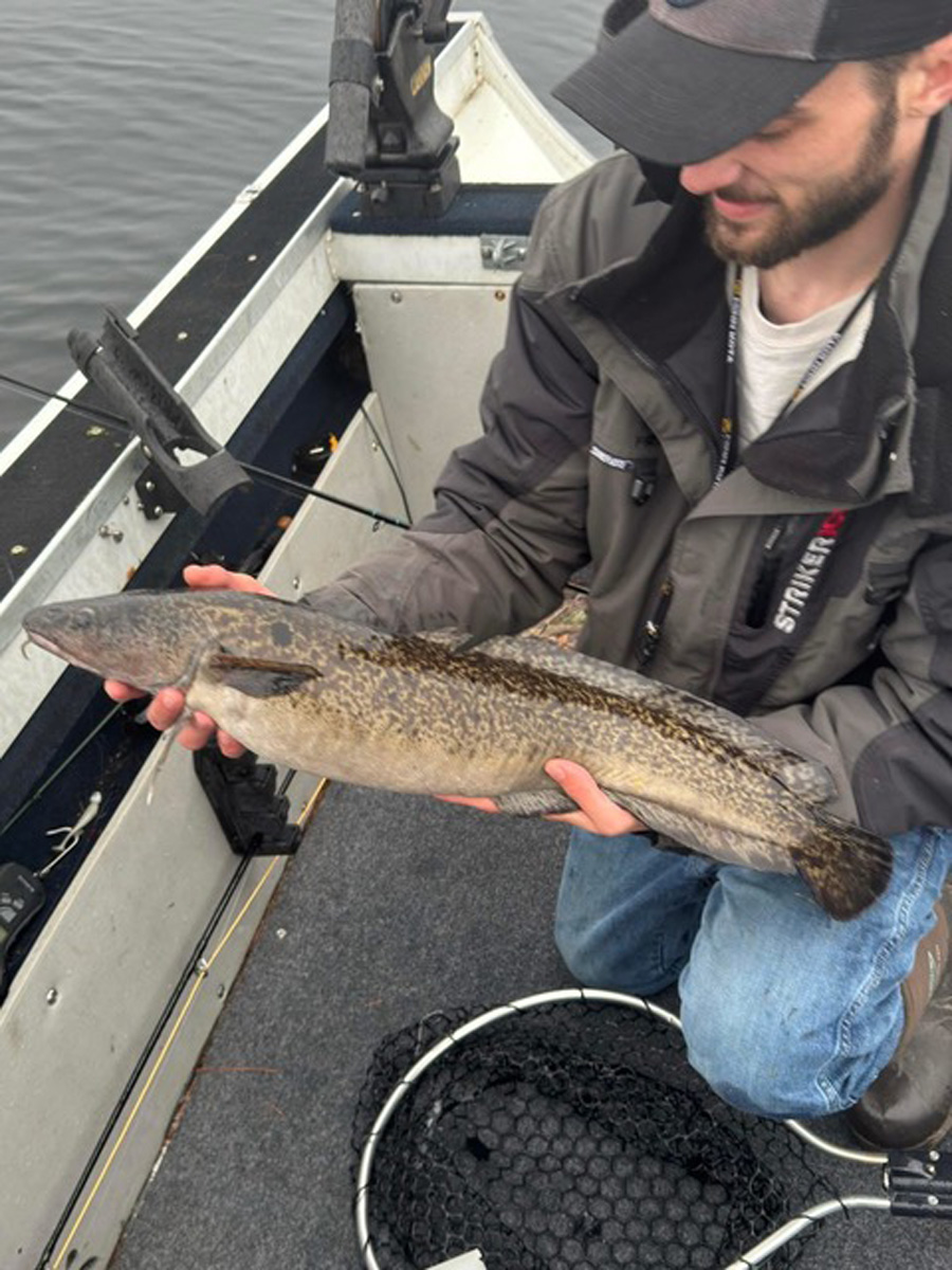 Cullin Dagger with Sebago Lake cusk