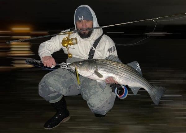 An angler holding a striped bass caught on Long Island, NY