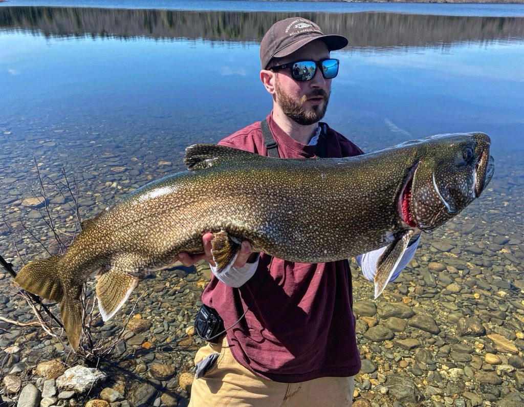 lake trout of Wachusett Reservoir