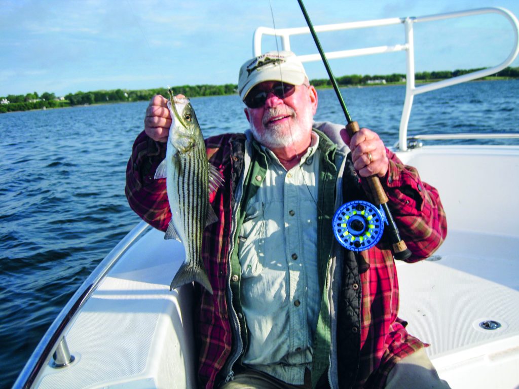 flies for spring stripers