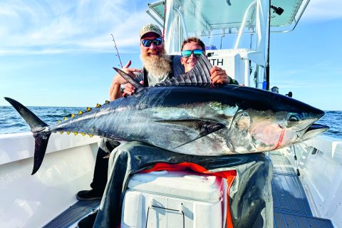 The Bluefin Tuna Calendar