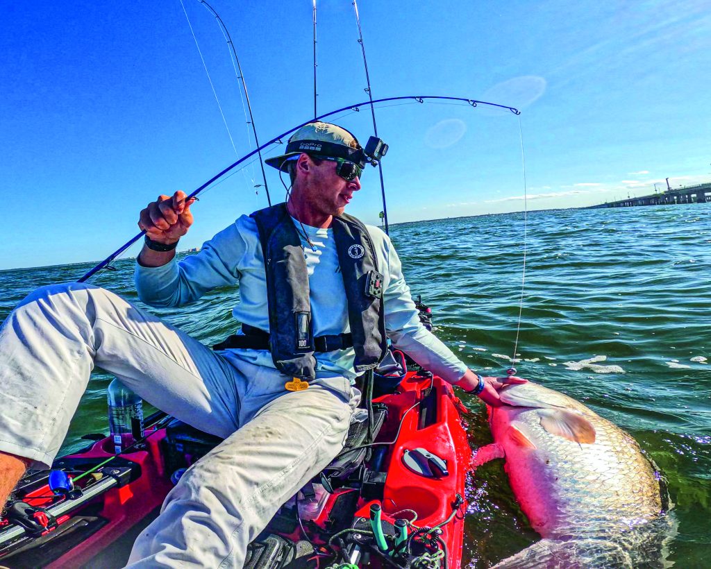 red drum in Chesapeake Bay