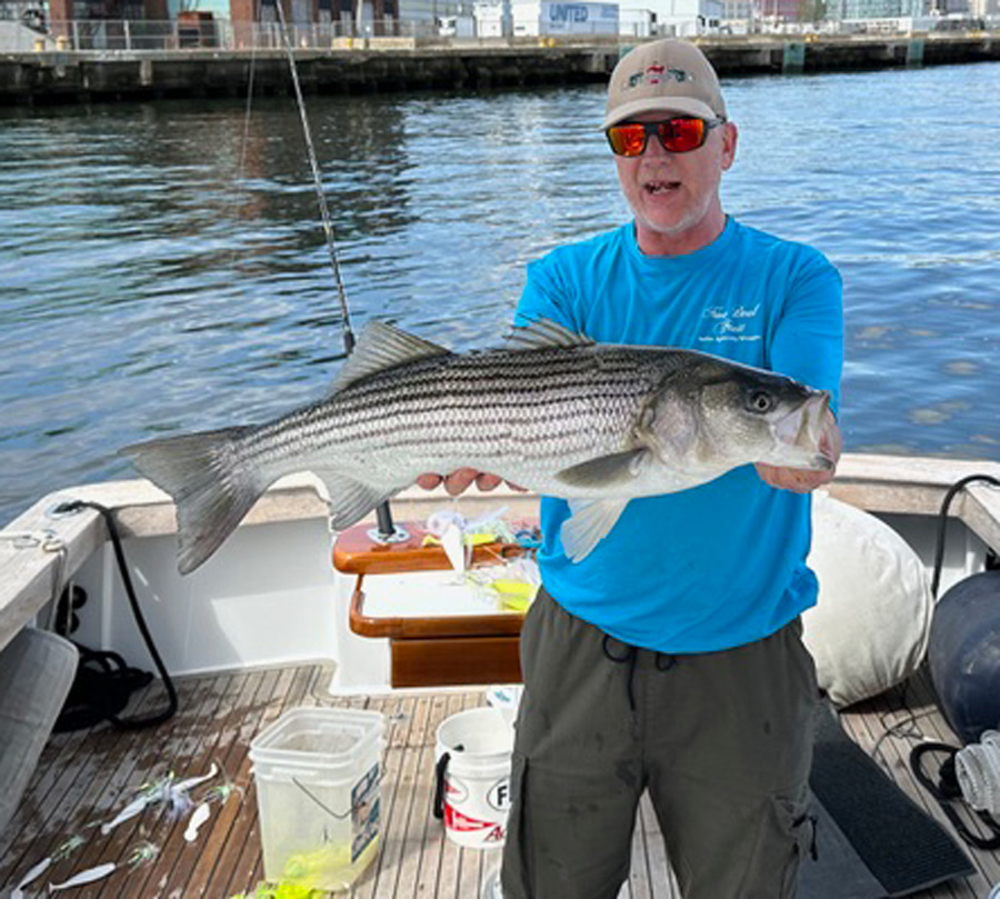 Captain Paul Diggins Boston striped bass