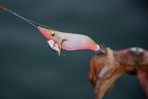 Featured Lure: Squid Jigs