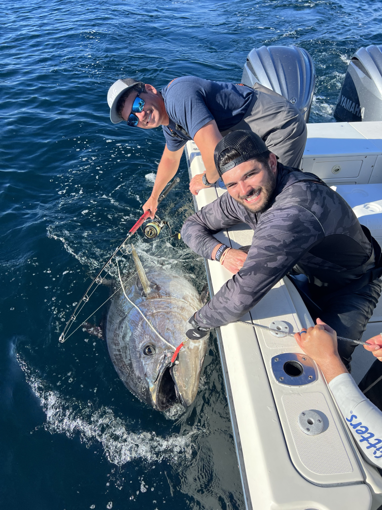 bluefin tuna calendar