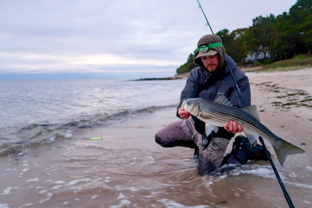 Essential Plugs for Stripers on Sand Beaches