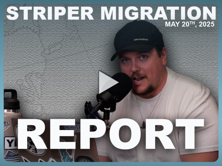 Striper Migration Report May 20, 2025