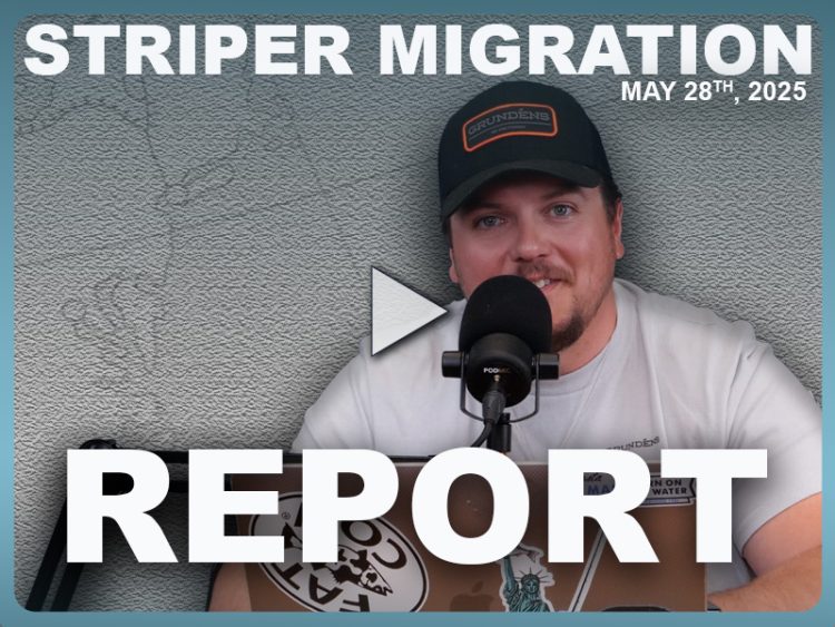 Striper Migration Report May 28, 2025