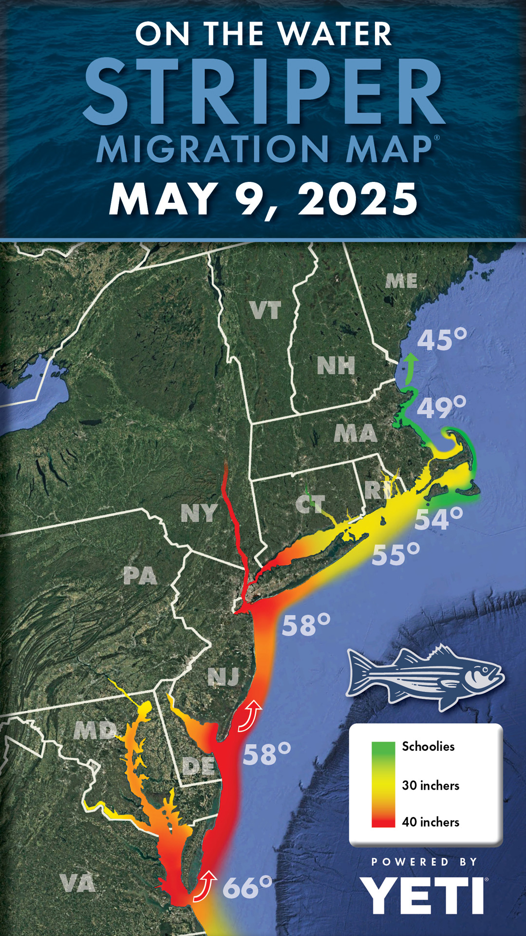 Striper Migration Map 2025-05-02
