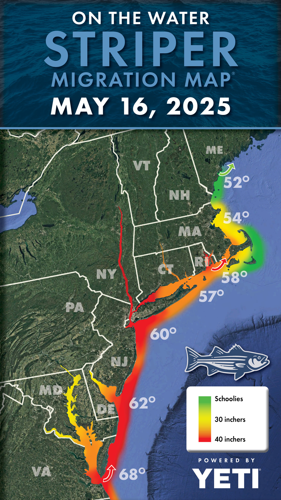 Striper Migration Map 2025-05-16