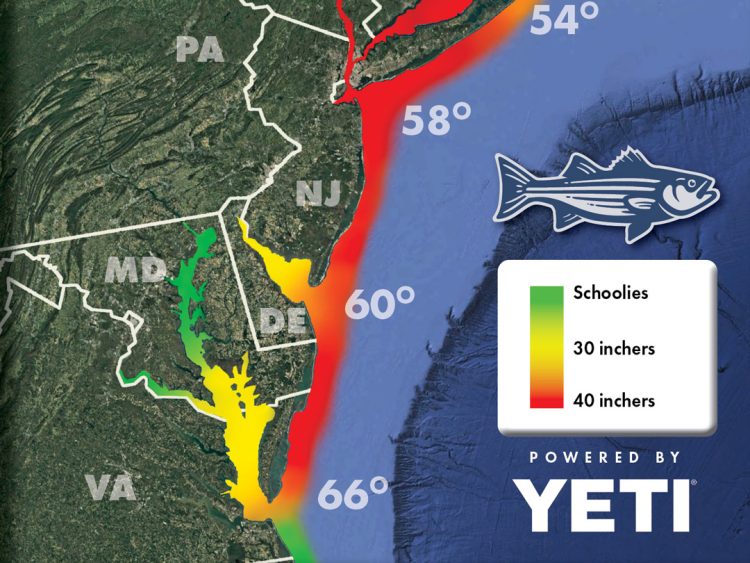 Striper Migration Map - May 23, 2025