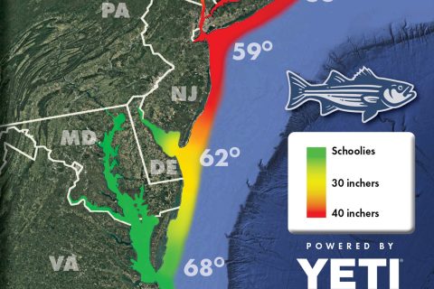 Striper Migration Map – May 30, 2025