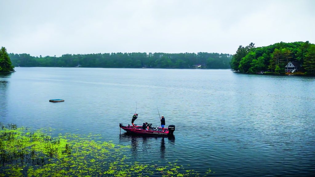 frog fishing for early summer bass