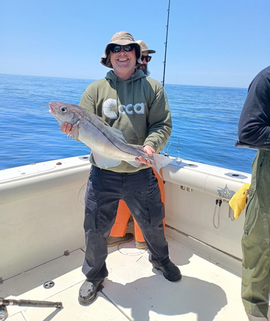 haddock