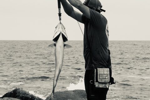 The &ldquo;Fall Run&rdquo; Starts in August on the North Shore