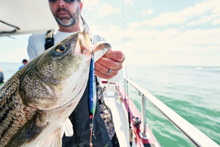 slow-pitch jigging for stripers