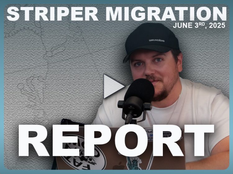 Striper Migration Report June 3, 2025