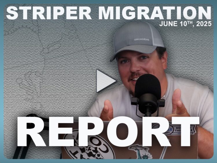 Striper Migration Report June 11, 2025