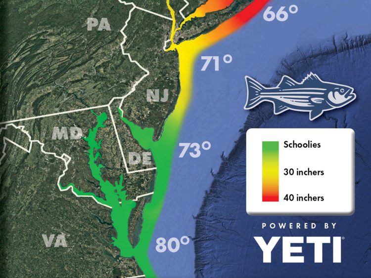Striper Migration Map June 27, 2025