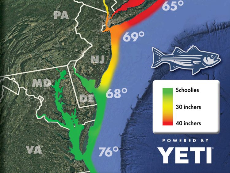 Striper Migration Map - June 13, 2025