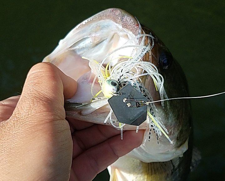 summer largemouth bass fishing lures