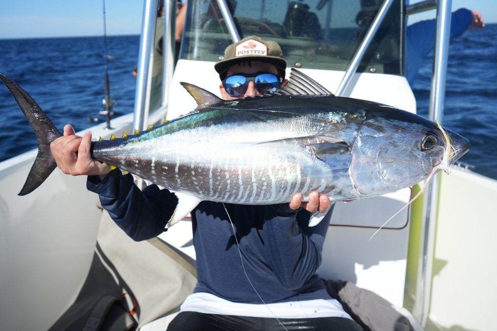 flies for bluefin tuna