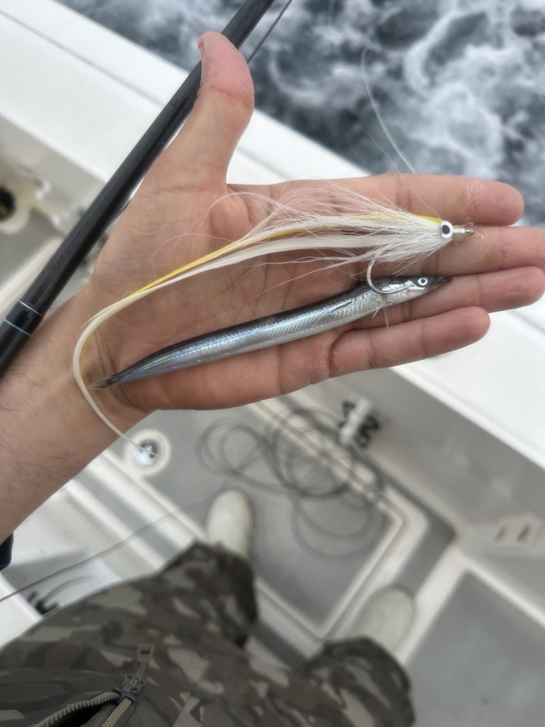 flies for bluefin tuna