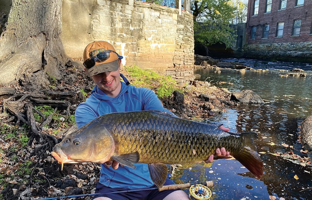fly fishing for carp in Boston