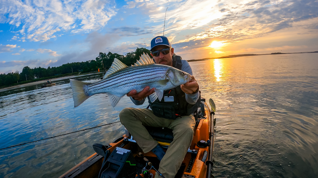catching stripers by kayak in Maine