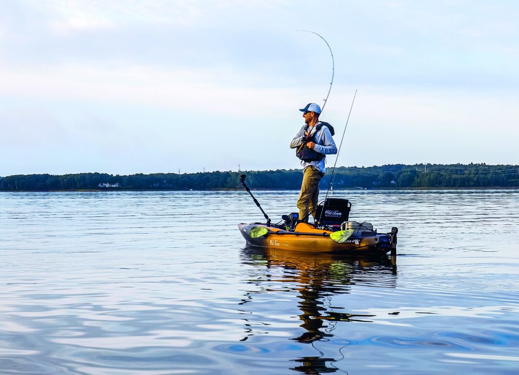 catching stripers by kayak in Maine