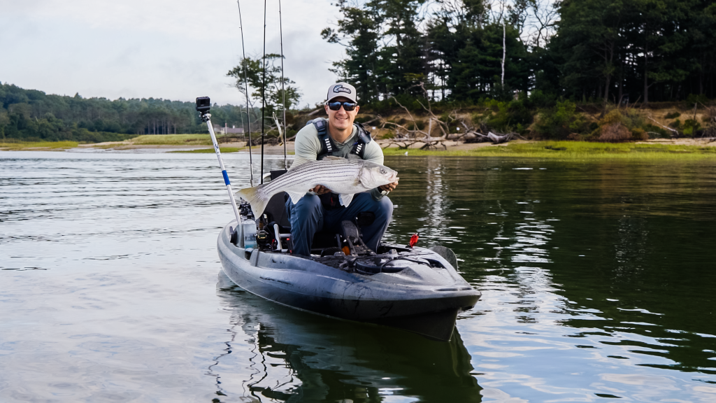 catching stripers by kayak in Maine