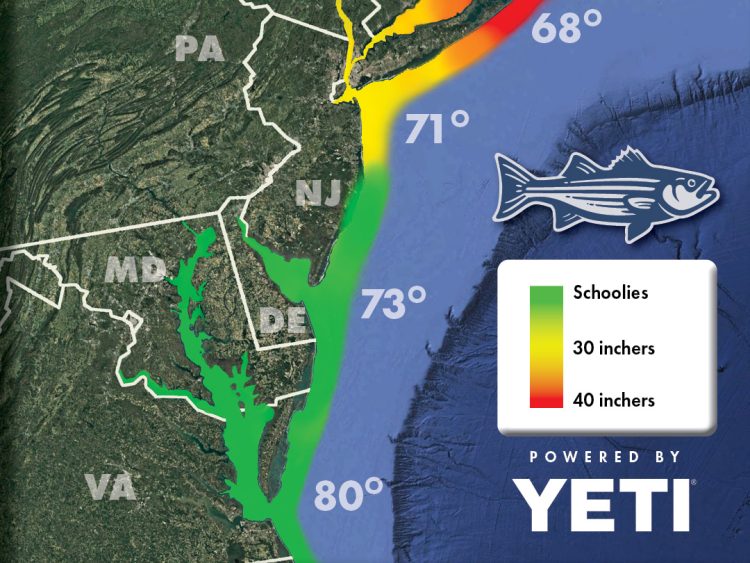 Striper Migration Map July 3, 2025
