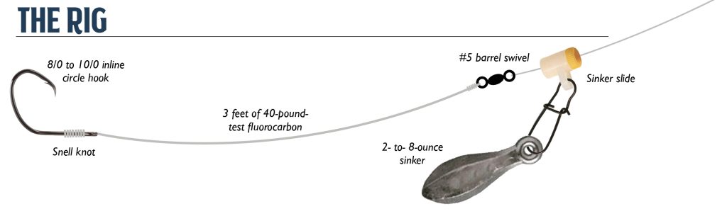chunking for trophy stripers