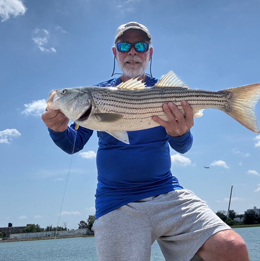 striped bass