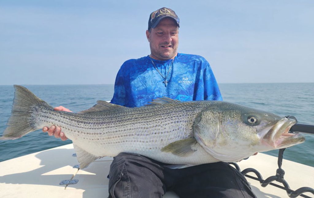 Get Tight 50LB striped bass