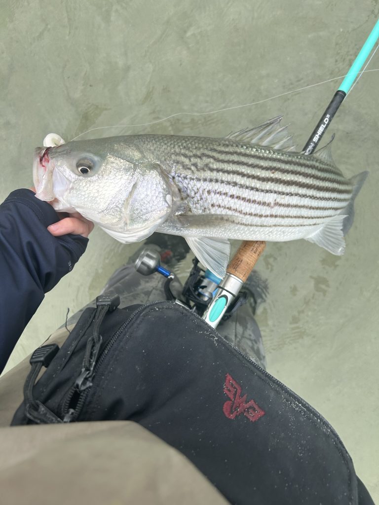 Brewster Flats striper fishing