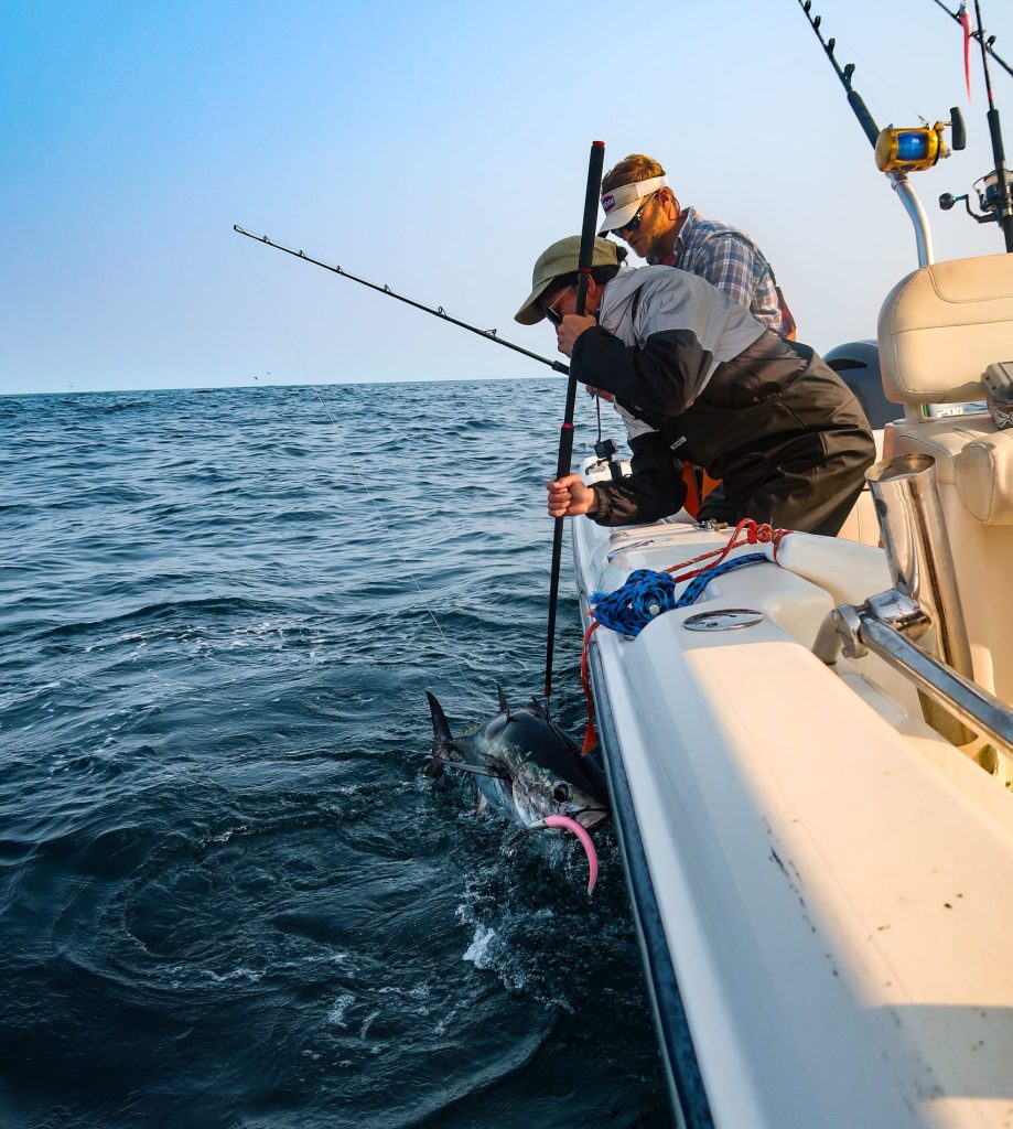 midshore tuna tactics